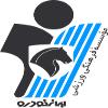佩坎logo